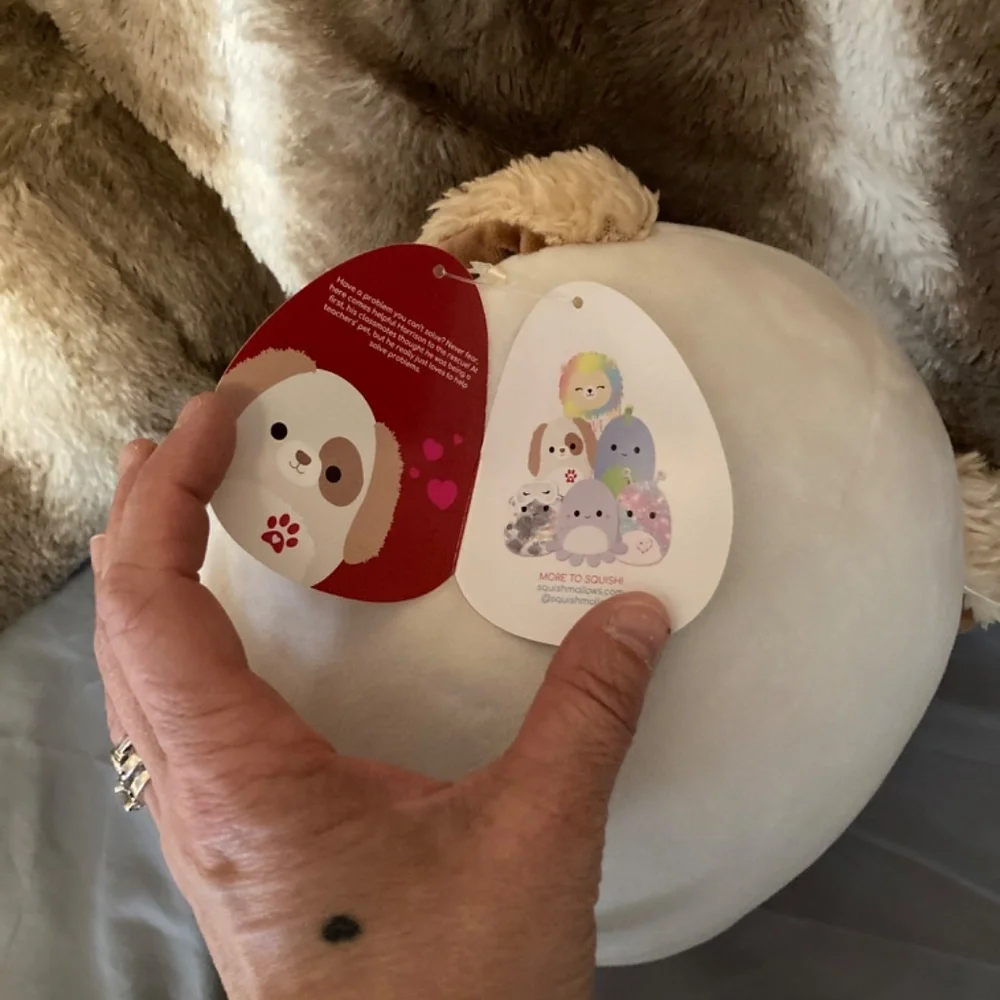 Harrison squishmallow - Picture 7 of 7